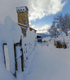Iamze's Guest House Mestia